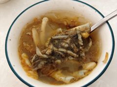 -安海长火土笋冻