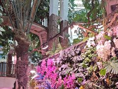 -正佳雨林生态植物园