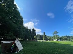 -武陵山森林公园
