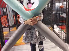 -嗨翻Hi-Fun竞技主题乐园·蹦床亲子生日轰趴(国光1937店)