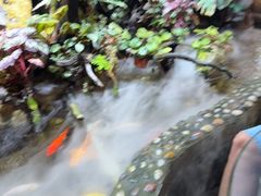 -多哥水傣味餐厅(司马巷店)