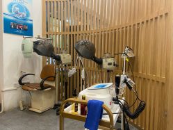 -章光101防脱养发荟