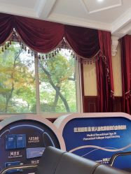 -南京医科大学友谊整形外科医院