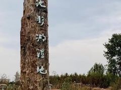 -池杉湖湿地公园