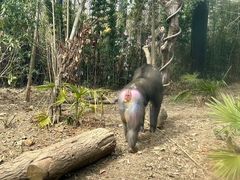 -山姆会员商店(邻瑞广场店)