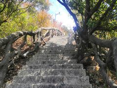 -梧桐山风景名胜区