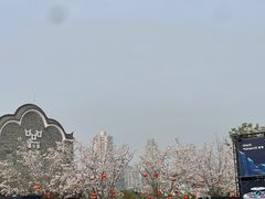 -武汉园博园(武汉自然博物馆)