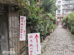 -猫色咖啡·猫咖