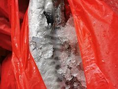 -芦潮港集贸市场