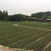 -乌镇西栅景区-月老庙