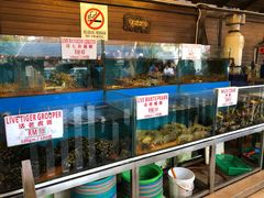 -真浪花园海鲜餐馆