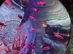 -沈阳海洋探索中心