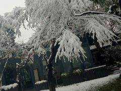 -西湖外事游船(湖滨二公园外事游船码头)