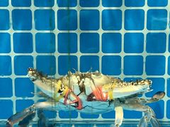 -佬太公海鸭·海鲜大排档(上海总店)