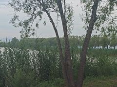 -野鸭湖国家湿地公园