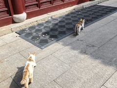 -檀园