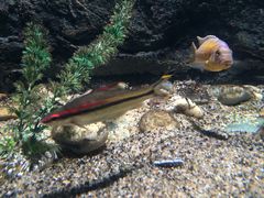 iphone_upload_pic-苏州海洋馆