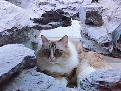 -白兔子密室(长寿路店)