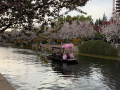 -元大都城垣遗址公园