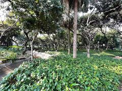 -黄埔荔枝公园