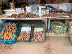 零售区-南沙十九涌渔人码头-南门