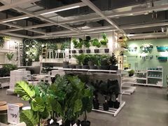 -宜家家居(哈尔滨商场店)