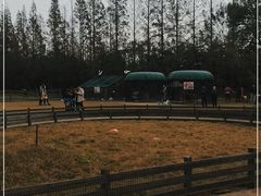 -前小桔亲子创意农场·草莓采摘·露营烧烤