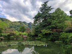 -中国茶叶博物馆(双峰馆区)