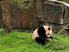 -宁波野生动物园