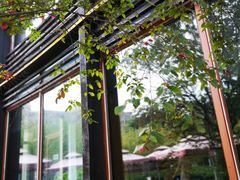 -荷风细雨·中国茶宴(碧云店)