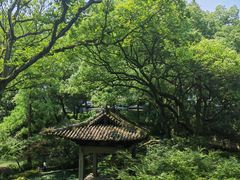 -杭州花家山庄