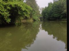 -溱湖国家湿地公园