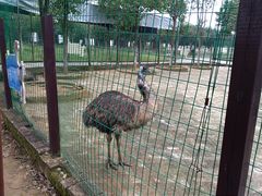 -武汉紫薇都市田园