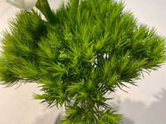 -屋里厢上海菜馆