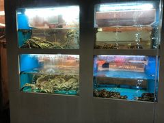 -启东海鲜人家(古美路店)