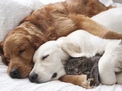 -汉堡王(龙德广场店)