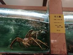 -石湖大酒店(桐泾店)