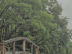 -温州永嘉书院