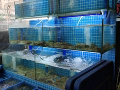 水产区-老东镇啤酒屋海鲜加工·蒸汽海鲜·海鲜烧烤(台东店)