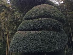 -苏州河梦清园环保主题公园