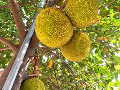 -任达丞国农庄(任达山庄店)