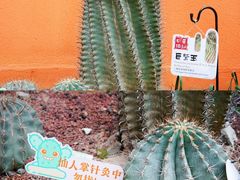 -正佳雨林生态植物园