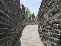-北京世界公园