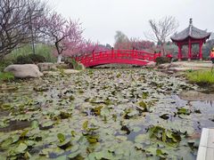 -秀丽东方