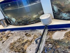 -海天盛宴新派海鲜自助餐厅(群力店)