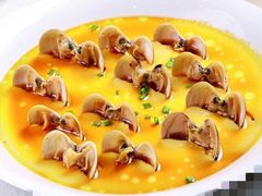 -心怡东北烤冷面(赤峰路店)