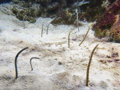 -鹿儿岛水族馆