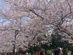 -堤角公园