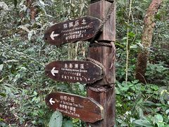 -普洱太阳河森林公园