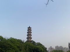 -江心屿景区